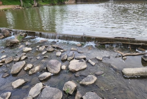 A serene river scene with a small waterfall over a log and smooth stones along the water's edge.