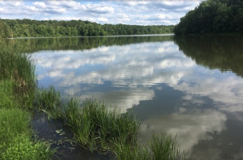 A serene lake surrounded by lush greenery, reflecting clouds and trees in calm waters under a blue sky.