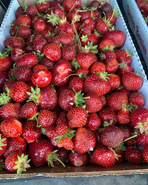 A close-up of fresh, ripe strawberries piled in cardboard boxes, showcasing their vibrant red color and green leaves.