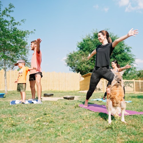A group of people practicing yoga outdoors with a dog nearby, surrounded by greenery and a wooden fence.