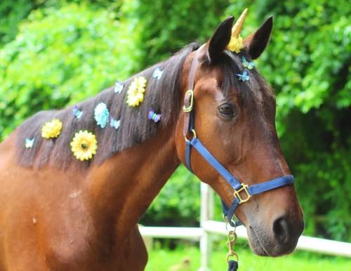 A brown horse adorned with colorful flowers and a unicorn horn, set against a lush green background.
