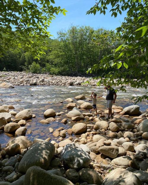 Two people stand on rocky riverbank, surrounded by trees and a clear blue sky. Water flows gently in the background.