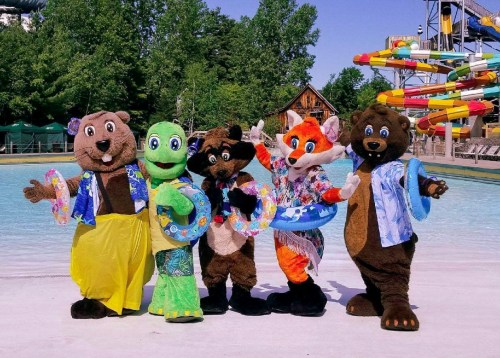 Five colorful mascots in swimwear stand by a pool, holding inflatable rings, with water slides in the background.