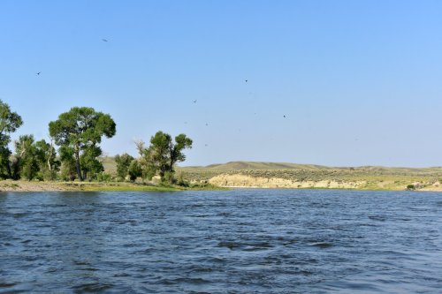 A serene river scene with trees along the bank and rolling hills under a clear blue sky.