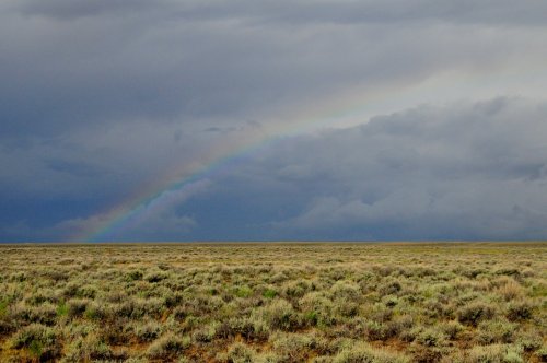 A vast, open landscape with green shrubs under a cloudy sky, featuring a faint rainbow arching across the horizon.
