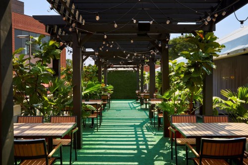 A sunny outdoor dining area with wooden tables, chairs, and lush greenery, illuminated by string lights.
