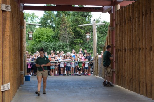A crowd of people watches as two zookeepers prepare for an animal presentation in a wooded area.