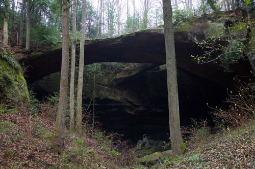 A natural stone arch surrounded by trees in a forested area, with rocky terrain below.