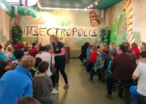 A lively educational event at Insectropolis, with children and adults seated, engaging with a presenter.