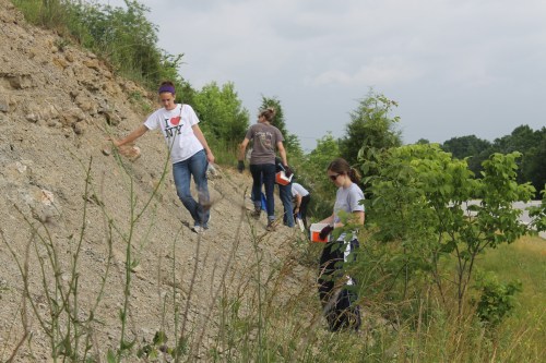 A group of people walking on a gravel slope, engaged in outdoor activities among greenery and trees.