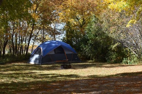 A blue camping tent set up in a grassy area surrounded by trees with autumn foliage.