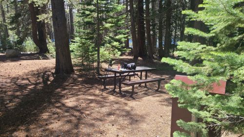 A picnic table in a forest clearing, surrounded by trees, with a camera and drinks on the table.