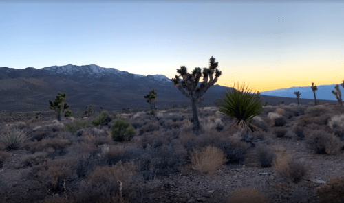 Desert landscape at dusk with Joshua trees, mountains in the background, and a colorful sky transitioning to night.