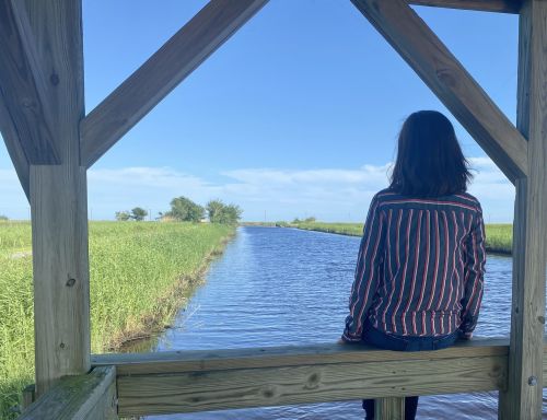 A person sits on a wooden dock, gazing at a calm waterway surrounded by lush greenery under a clear blue sky.