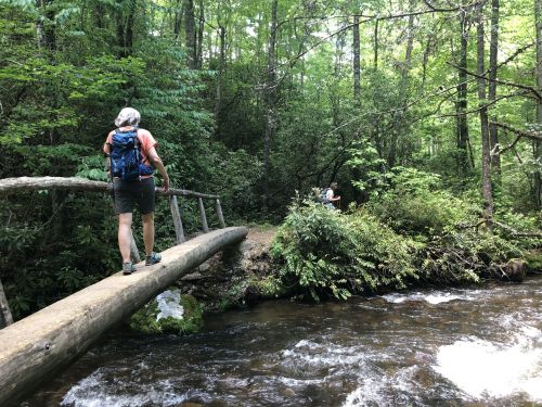 A hiker crosses a wooden bridge over a stream, surrounded by lush green trees and foliage.