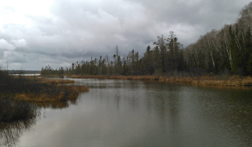 A calm river surrounded by trees and grasses under a cloudy sky. Reflections shimmer on the water's surface.