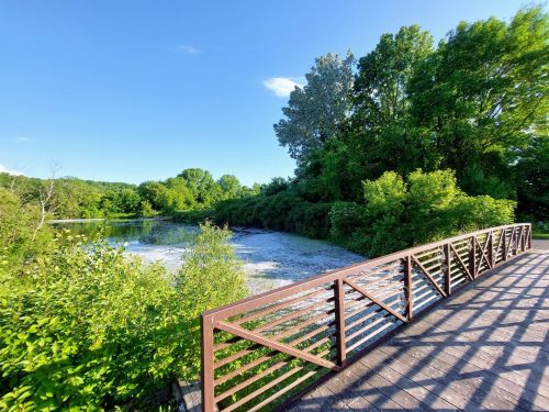 A wooden bridge overlooks a serene pond surrounded by lush greenery under a clear blue sky.
