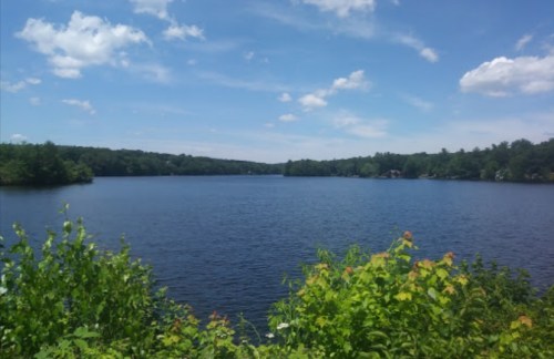 A serene lake surrounded by lush greenery under a bright blue sky with fluffy clouds.
