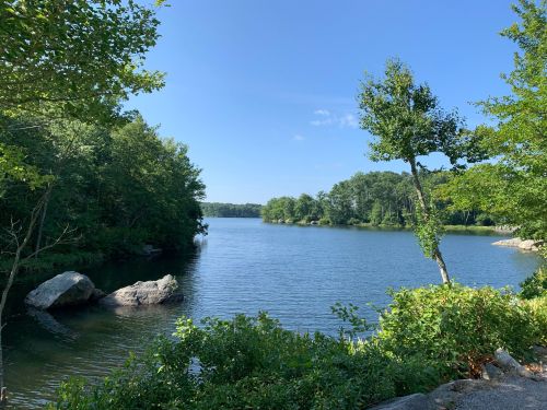 A serene lake surrounded by lush greenery and trees under a clear blue sky. Rocks line the water's edge.