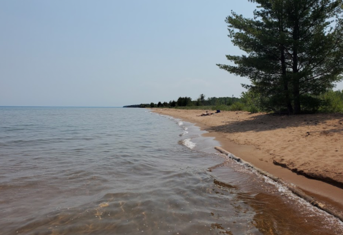 A serene beach scene with gentle waves lapping at the sandy shore, framed by trees under a clear sky.