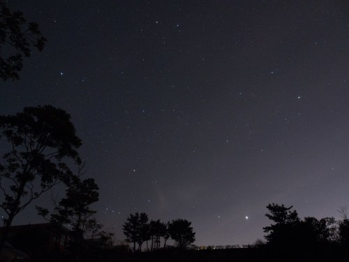 A starry night sky with scattered stars and silhouettes of trees against a dark backdrop.