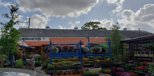 A vibrant garden center with colorful flowers and plants under a partly cloudy sky.