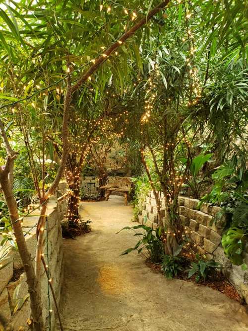 A serene garden path lined with lush greenery and twinkling lights, leading to a wooden bench.