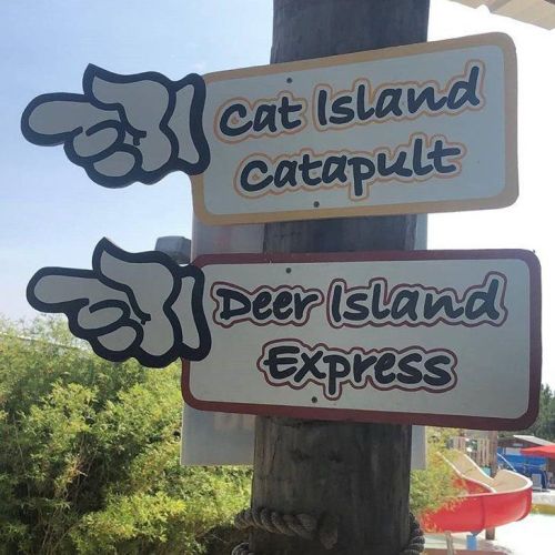 Two signs on a post: one points to "Cat Island Catapult" and the other to "Deer Island Express," with playful finger graphics.