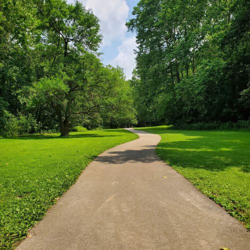 A winding path through a lush green park, surrounded by trees and bright blue skies.