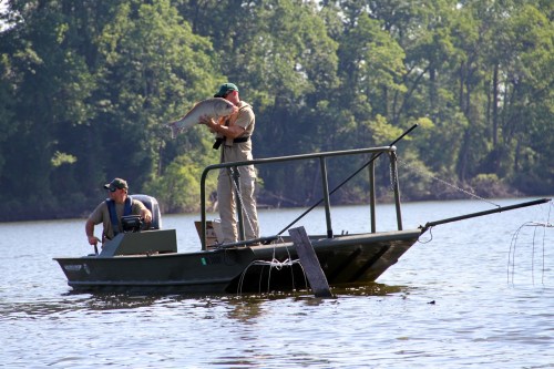 Two men on a boat in a lake, one holding a large fish while the other looks on. Lush greenery surrounds the water.
