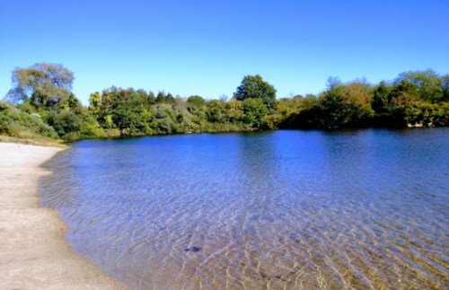 A serene lake surrounded by trees under a clear blue sky, with gentle ripples on the water's surface.
