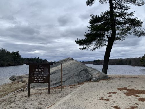 A rocky shoreline by a lake, with a sign listing beach rules and a tall pine tree against a cloudy sky.