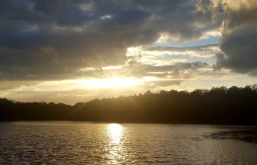 Sunset over a calm river, with clouds reflecting golden light and a silhouette of trees along the shoreline.