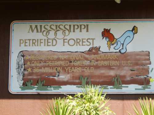 Sign for Mississippi Petrified Forest, featuring a cartoon rooster and information about its age and status as a national landmark.