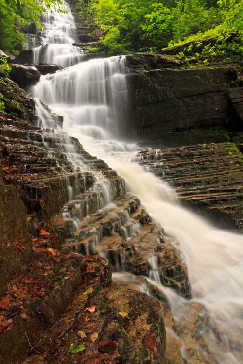 A cascading waterfall flows over rocky steps, surrounded by lush green foliage and a serene natural setting.