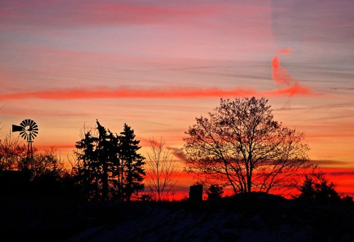 Silhouette of trees and a windmill against a vibrant sunset with shades of orange, pink, and purple.