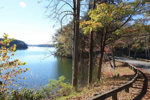 A serene lakeside view with trees and autumn foliage, alongside a winding road under a clear blue sky.