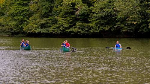 Two canoes with people paddling on a calm lake surrounded by lush green trees.