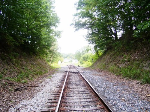 A view of a railway track stretching into the distance, flanked by trees and greenery on either side.