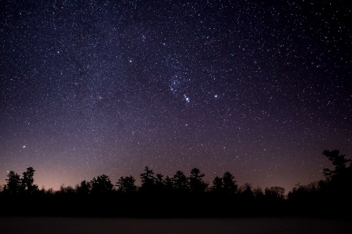 A starry night sky filled with stars and constellations, silhouetted by dark trees in the foreground.