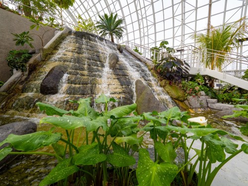 A lush indoor waterfall surrounded by tropical plants and greenery under a glass dome.