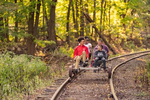 A group of four people riding a rail bike on a forested train track, surrounded by greenery and trees.