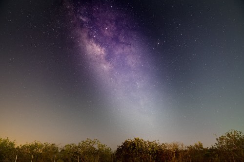 A stunning view of the Milky Way galaxy illuminated against a starry night sky, with silhouettes of trees below.