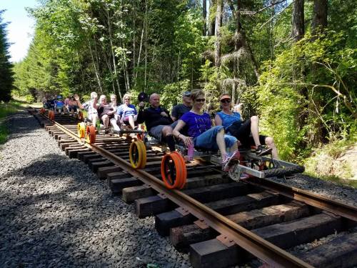 A group of people enjoying a ride on a rail bike along a forested train track.