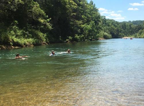Two people swim in a clear river surrounded by lush greenery and trees under a bright blue sky.