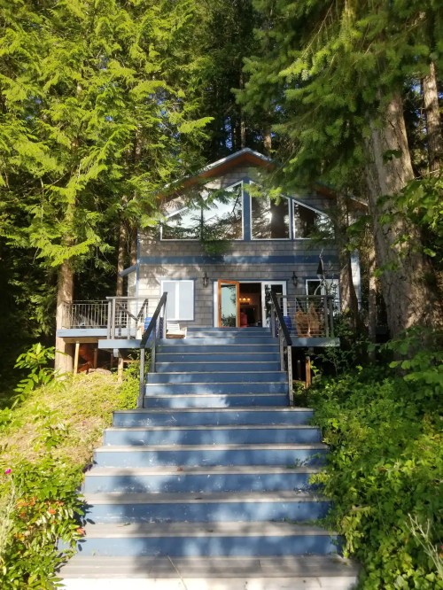 A modern cabin with large windows, surrounded by tall trees, accessed by a set of blue stairs.