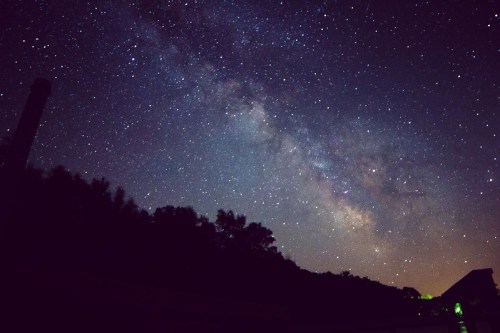 A starry night sky filled with the Milky Way, silhouetted trees, and a faint glow on the horizon.