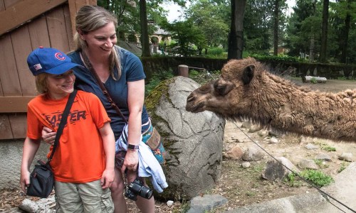 A woman and a boy smile as they interact with a camel at a zoo, surrounded by trees and rocks.