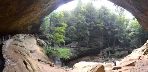 A panoramic view of a cave opening, surrounded by lush greenery and a winding path with visitors exploring the area.