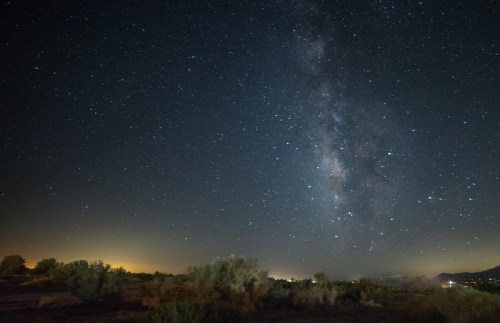 A clear night sky filled with stars and the Milky Way, above a dark landscape with sparse vegetation.